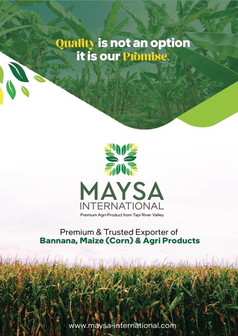 Maysa Brochure - Page 1